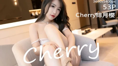 最新综艺免费视频源
